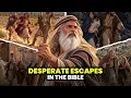 The Bible's Most Desperate Escapes | Moses, Lot, and Paul