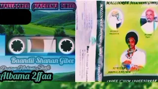 Baandii Shanan Gibee Loomii Loomii 