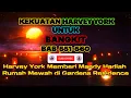 Download Lagu Kekuatan Harvey York Untuk Bangkit BAB 551-560