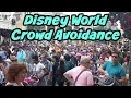 Disney World Crowd Avoidance Strategies