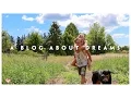 About Our Life Dreams Dogs Vision Boards