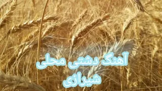 دشتی نی غمگین آهنگ محلی شلوا 