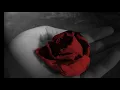 威鎮樂隊   落葉季節  ★