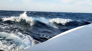 Outrunning The COROMUELS! – Onboard Lifestyle ep.214