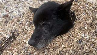 Meditation and Music Aboard While Sailing Around