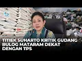 Lagu Titiek Soeharto Apresiasi Potensi Peternakan Sapi di NTB \u0026 Soroti Gudang Bulog Dekat TPS di Mataram