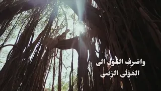سلمي يا نفس 