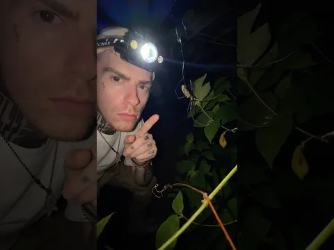 Jungletent