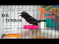 Download Lagu KONIN GACOR FULL ISIAN ROL TEMBAK • MATERI MEWAH COCOK UNTUK MASTERAN KOLIBRI NINJA LAIN !!