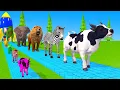 Lagu Long Slide Game With Cow Elephant Gorilla Hippopotamus Tiger 3d Animal Game Funny 3d Animals