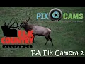 PA Elk Country Visitor Center - Cam 2
