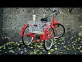 The 5 Best Adult Tricycles Review In 2026 Perfect Models For Any Budget