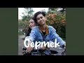 Download Lagu Cepmek (Cepat Mencintai Kamu)
