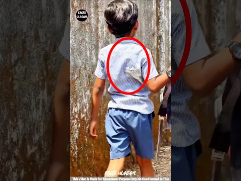 This child accidentlly dropped the ice cream| #factsintamil #factsulagam #short