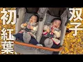【生後11ヶ月】ふたごの赤ちゃんと初めての紅葉狩り！