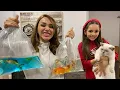Download Lagu AKVARYUMA YENİ BALIKLAR ALDIK ! KEDİLERİMİZ PAMUK VE PARS AŞI OLDU !