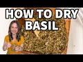 Dry Basil Like a Pro Quick and Easy Tips