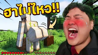โอ้ย!! ฮาแบบไม่ได้พัก Reaction 1,000,000 Villager MANHUNT