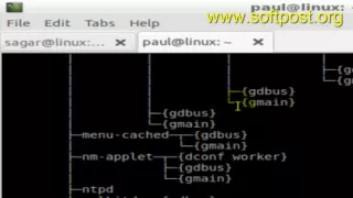 Difference between local shell variable and environment variable in Linux