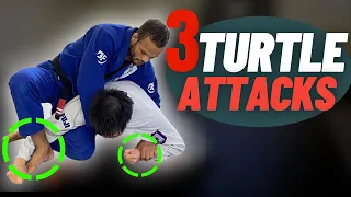 Turtle Position BJJ – FREE Curated Videos, Escapes & Tips