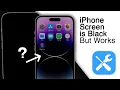 My iPhone Screen is Black But Still Works 3 FIXES