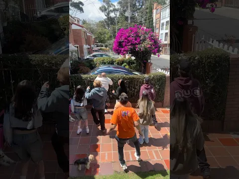BÁILALO ROCKY #casosdefamilia #comedia #divertido #humor #shorts #shortsviral #shortvideos #fyp #fyp