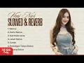 Download Lagu Playlist Full Album Slowed \u0026 Reverb Veni Nur - Aku Gemoy Banyak Yang Suka Aku