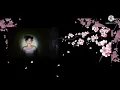Download Lagu Grain in Ear | CRISALYN Covered song | Mang Zhong original song 🍂💞