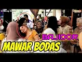 Download Lagu MAWAR BODAS ‼️PONGDUT BAJIDORAN || Live Gelombang 5
