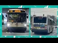 NJ Transit 119 JERSEY CITY AND BAYONNE VIA JFK BLVD NABI 416 15