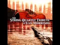Download Lagu Brown Eyed Girl - Vitamin String Quartet Tribute to Van Morrison