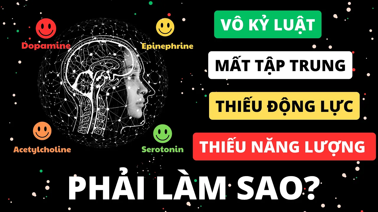 Outline Video Huấn luyện Bộ não tăng Năng lượng, Tập trung, Tỉnh táo, Kỷ luật, Động lực & Sự Hài lòng ngay lập tức