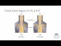 20151130 Anatomy of the Anesthesia Machine Part 1
