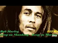 432 Hz Bob Marley Keep on Moving - Keep on Skanking 1967