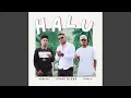 Download Lagu Halu