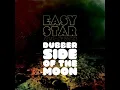 DUBBER SIDE OF THE MOON _money_(mad_professor_remix).wmv