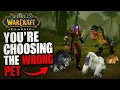 WoW Classic Hunter Pets Guide Best Endgame Pets Abilities Loyalty Leveling Tier List