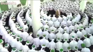 حضرة صوفية غاية في الجمال 