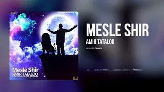 Amir Tataloo Mesle Shir امیر تتلو مثل شیر تقدیم به فرشته ام 
