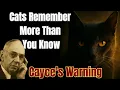 Download Lagu EDGAR CAYCE'S SCHOKKENDE ONTHULD OVER KATTEN EN HET HIERNAARTOE ONTPLOOIT ZICH NU!