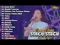 Download Lagu Happy Asmara Full Album Terbaru 2025 - Stecu Stecu, Wegah Tukaran | Lagu Dangdut Koplo