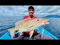 Lagu LIGHT JIGGING SPOT MAITARA OME TIDORE