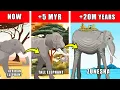 Zunesha Origin Evolution How Zunesha Could Have Evolved