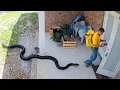 Delivery Drivers vs Animals When Things Go Wrong