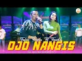 Download Lagu Ojo Nangis - Falen Finola feat Fendik Adella (Official Music Video)