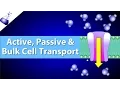 Active Passive and Bulk Cell Transport