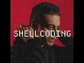 buffer overflows shellcoding our way into 2026