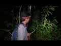 Download Lagu Memberanikan diri Blusukan Ke Hutan