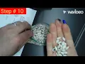 Population Estimation Lab Beans Mark Recapture