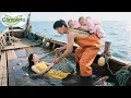 Download Lagu ✨Papá soltero pescador sacó chica abandonada del lago. Es heredera de Billionario! Vida dio vuelta!